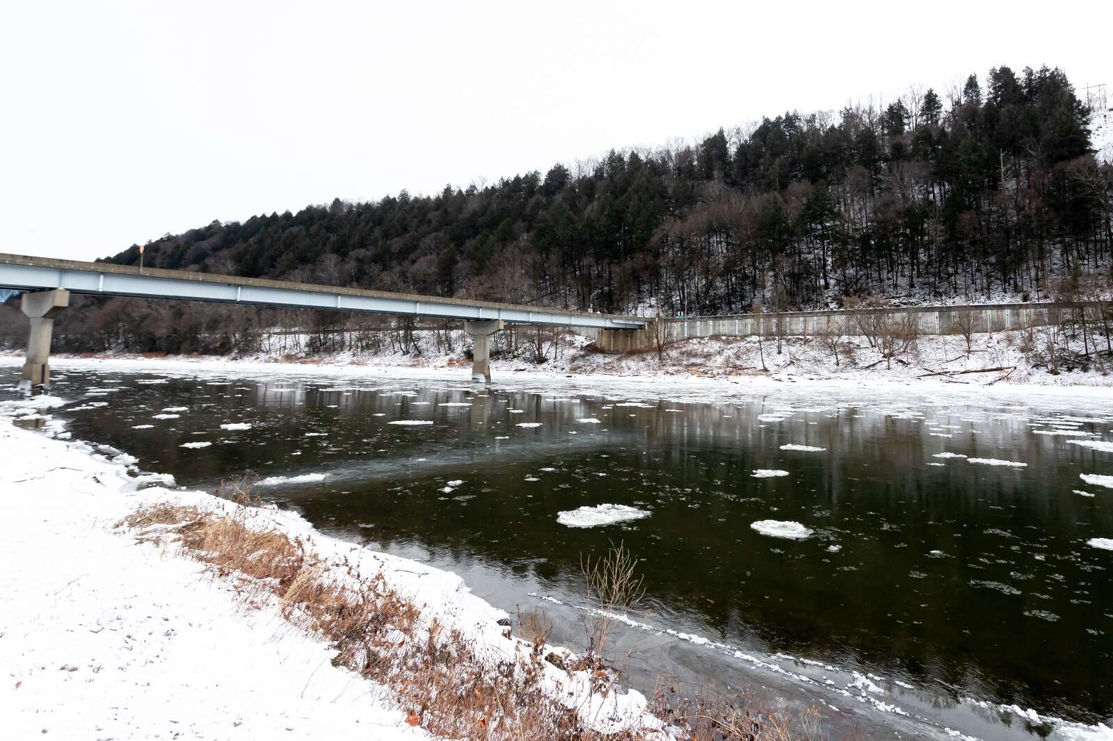 Ice chunks float down the Allegheny River