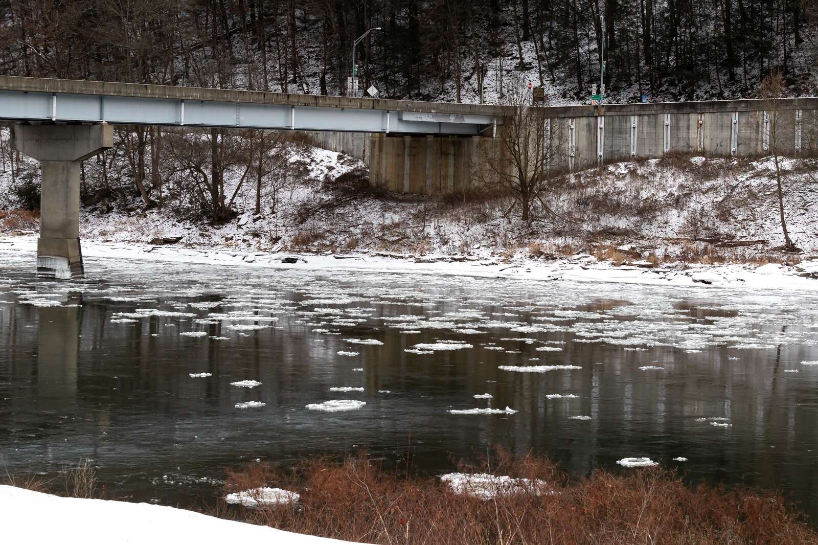 Ice chunks float down the Allegheny River