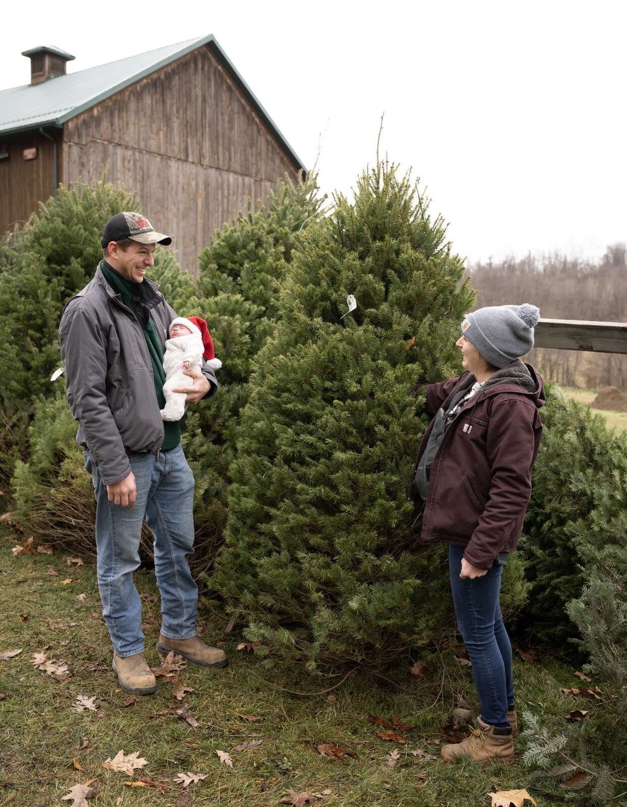 Local Christmas tree farms navigate obstacles to bring holiday cheer ...