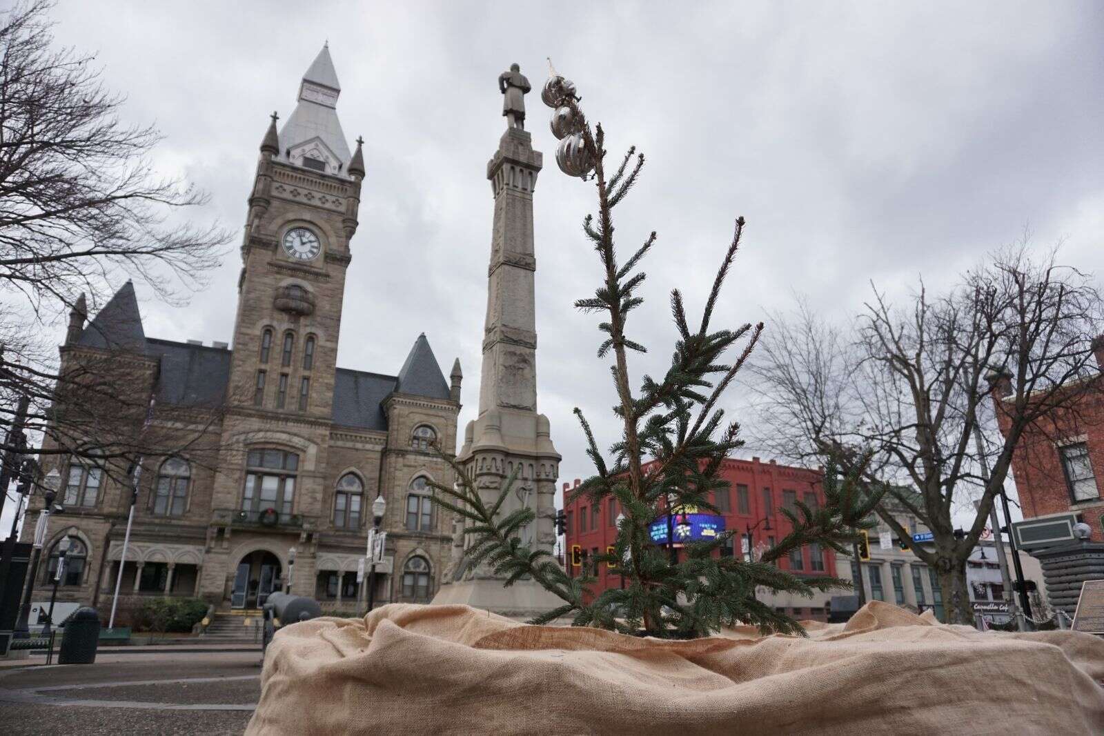 A few twigs are all that remains of the 25-foot Diamond Park Christmas tree 