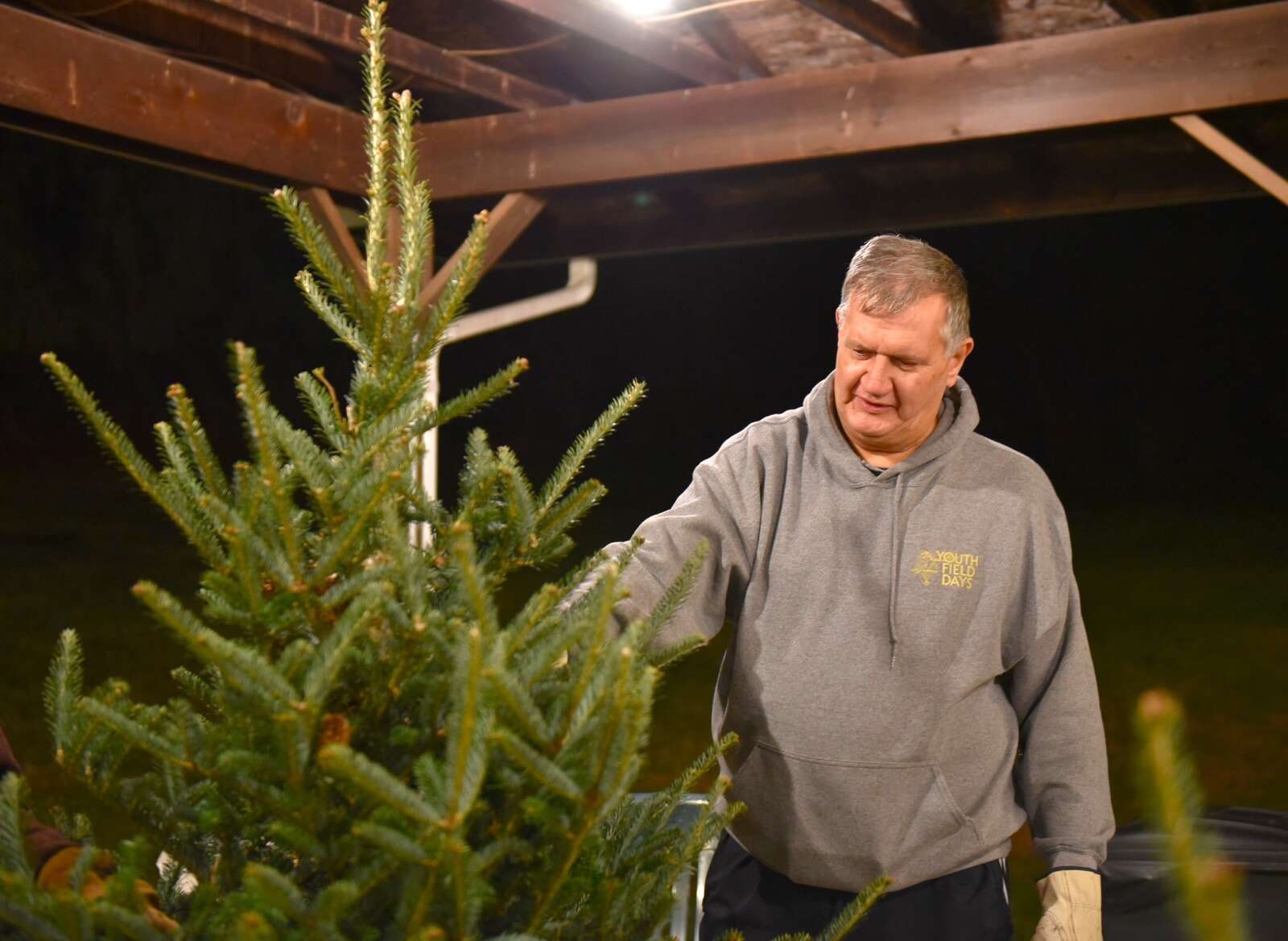 Butler Lions Club set up Christmas trees for the Butler Lions Club Christmas tree sale