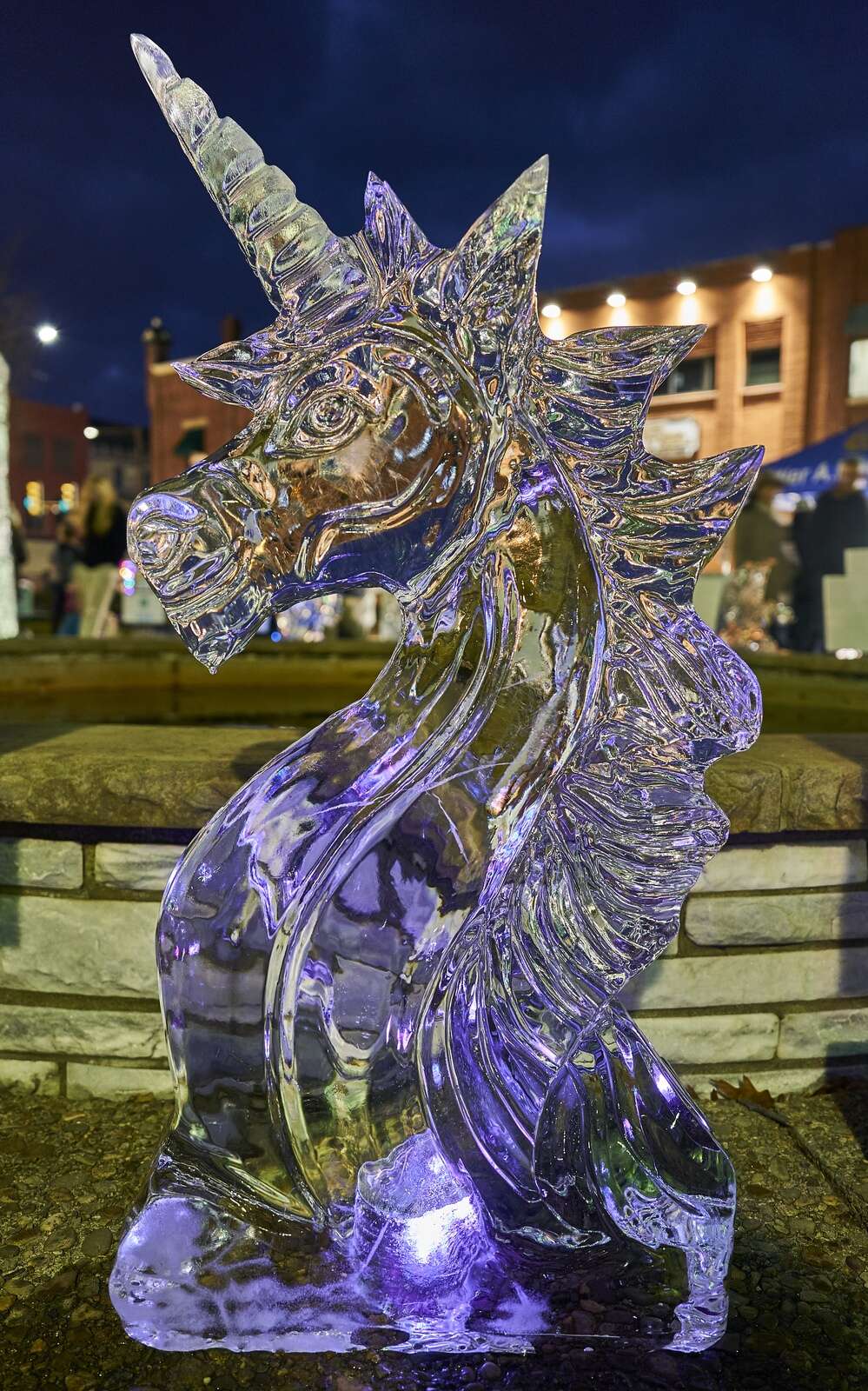 2023 Carved in Ice festival at Diamond Park