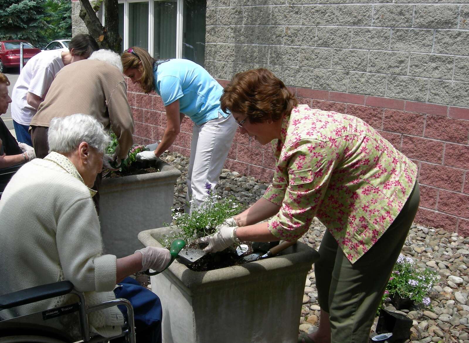 Volunteers from Butler Garden Club  plant flowers